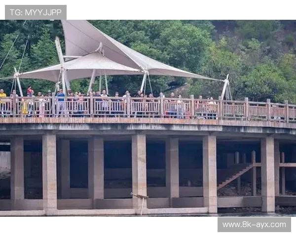 互动剧情影响比赛进程模式兴起，模糊观赛与游戏边界。