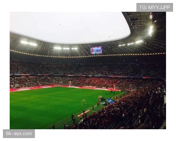 深度报道:欧冠决赛场地安联球场启动最后阶段翻新,将全面启用数字门票 深度报道:欧冠决赛场地安联球场启动最后阶段翻新,将全面启用数字门票